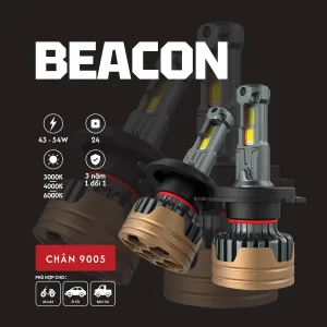 Bóng LED ô tô Beacon chân 9005 Bulbtek